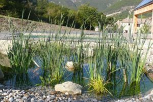Page-activite-Jardins-Realisation-9-Les-Jardins-en-Cascades-Paysagiste-livron-roseaux