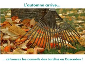 Actu - Taille et préparation des plantations avant le froid -LES JARDINS EN CASCADES
