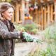 actu - Taillez, coupez & planter avant l’hiver ! - Les Jardins en Cascades
