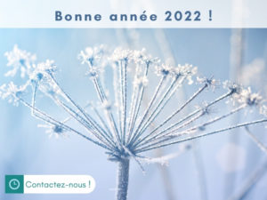 LES JARDINS EN CASCADES-Actu Bonne année 2022