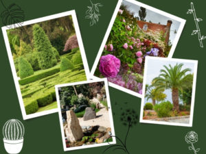 Jardins en cascades - Aménager son jardin - quel style choisir